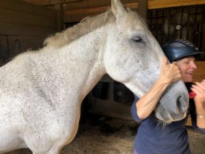 Last days with my horse, Andy — signifies the end of a 30 year great run on horses