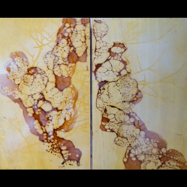 Energy Flow, a Diptych